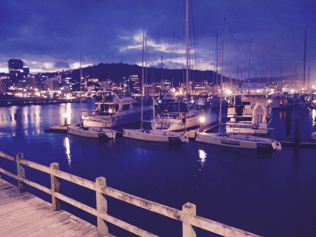 ニュージーランドランゲージセンター ウェリントン校