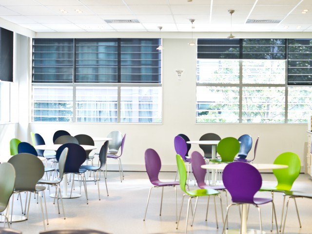 ニュージーランドランゲージセンター　オークランド校