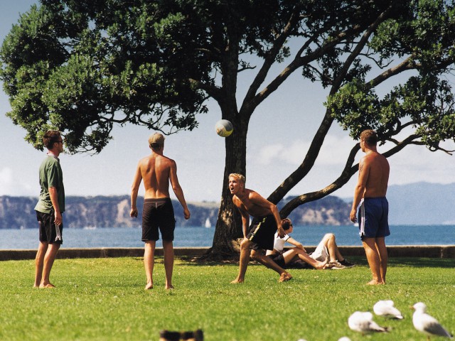 ニュージーランドランゲージセンター　オークランド校