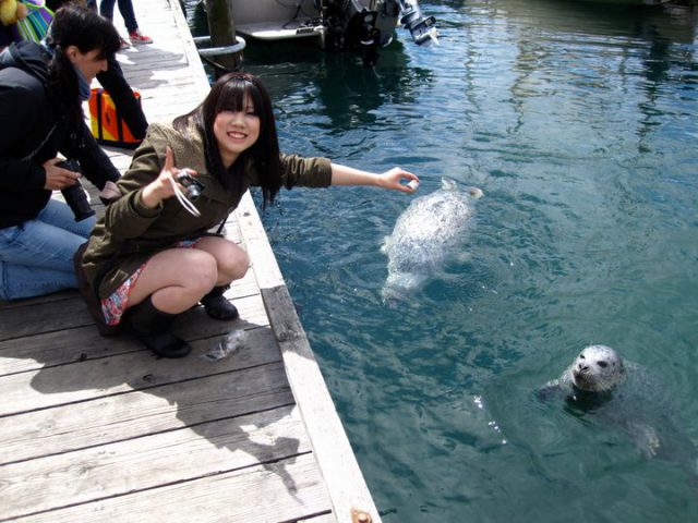 グローバルビレッジイングリッシュセンター ビクトリア校