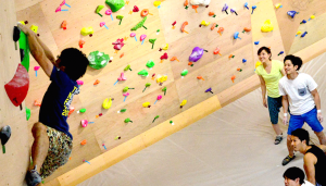 ダウンロード (1)