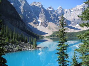 2935a25f のコピー