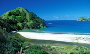 area_newzealand_img01