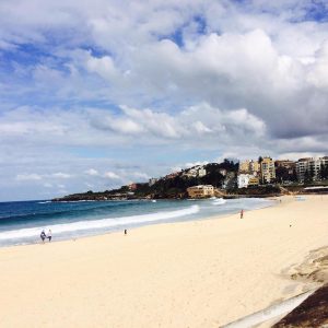 14010095_1061328987278446_1282866588_n