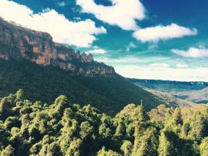 14012040_1061329003945111_1773775989_n