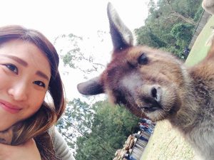 14030731_1061326363945375_116511005_n