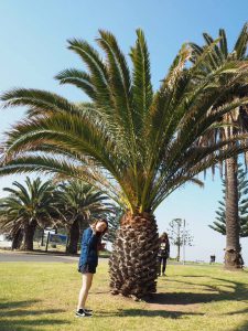 14031077_1061329050611773_1696851505_n