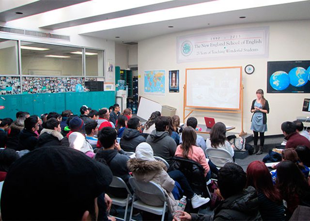 ザ ニューイングランドスクールオブイングリッシュ