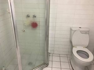 15215812_1206517856090171_1622359067_o