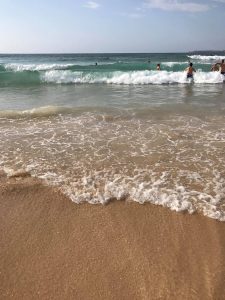 15215966_1211838912224732_828144021_o