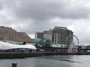 15216160_1208173009257989_337252329_o