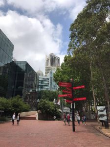 15224787_1208172992591324_853752722_o