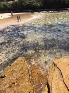 15225324_1210399665701990_89592946_o