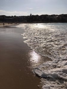 15271590_1211838922224731_1756870265_o