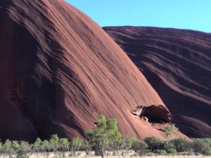 15293221_1218762778199012_651030720_o