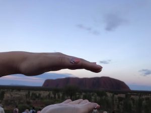 15302295_1218762571532366_1746311990_o