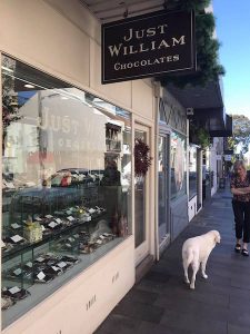 15322377_1226472914094665_1048604865_o