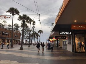 15502774_1235033896571900_2082011492_o