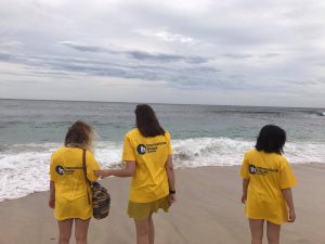 15515639_1235033183238638_1944981717_o