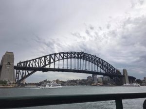 15536881_1235033909905232_239619535_o