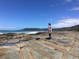 15628957_1240729239335699_553959834_o