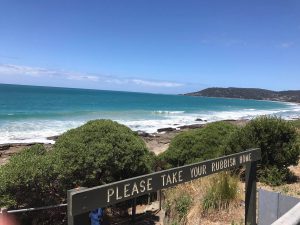 15631181_1240728832669073_1312460936_o