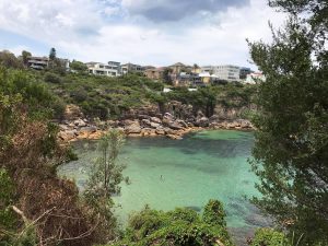 15748099_1252531284822161_2131293645_o