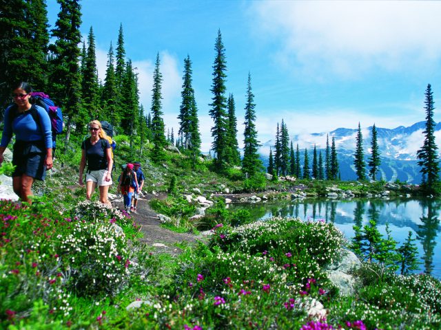 タムウッド ランゲージセンター ウィスラー校