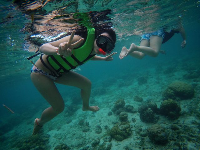 スリーディー アカデミー