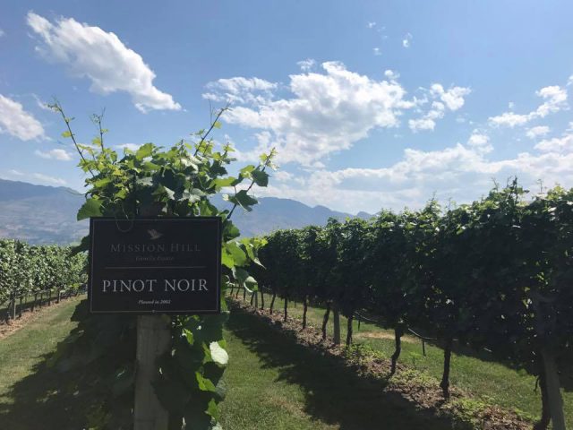 バンウエストカレッジ　ケロウナ校