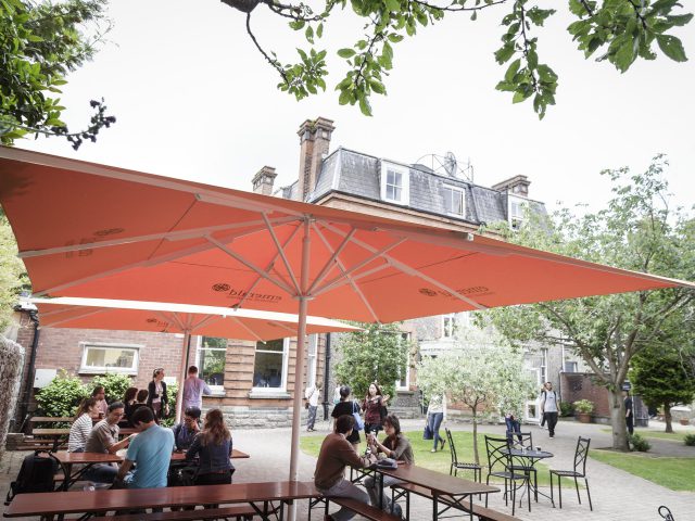 エメラルド カルチュラル インスティテュート