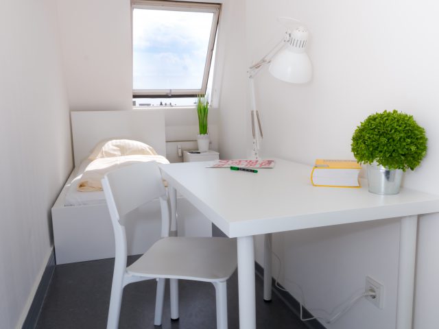 F+Uアカデミー オブ ランゲージ　ベルリン校